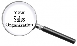 Understanding Your Sales Organization’s Ability to Execute is Essential 4 for Scaling Sales Success