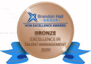 Brandon Hall Award for Best Team Development Program