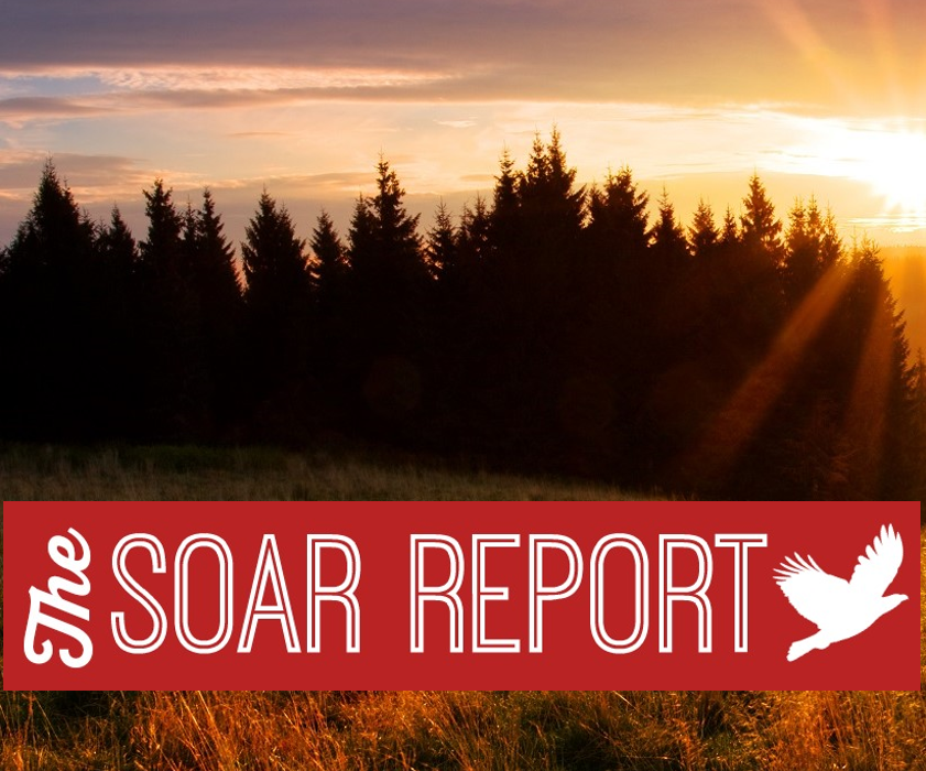 The SOAR Report | SOAR Performance Group | Sales Performance